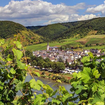 Moselhof Ferienwohnungen Bruttig-Fankel Dış mekan fotoğraf
