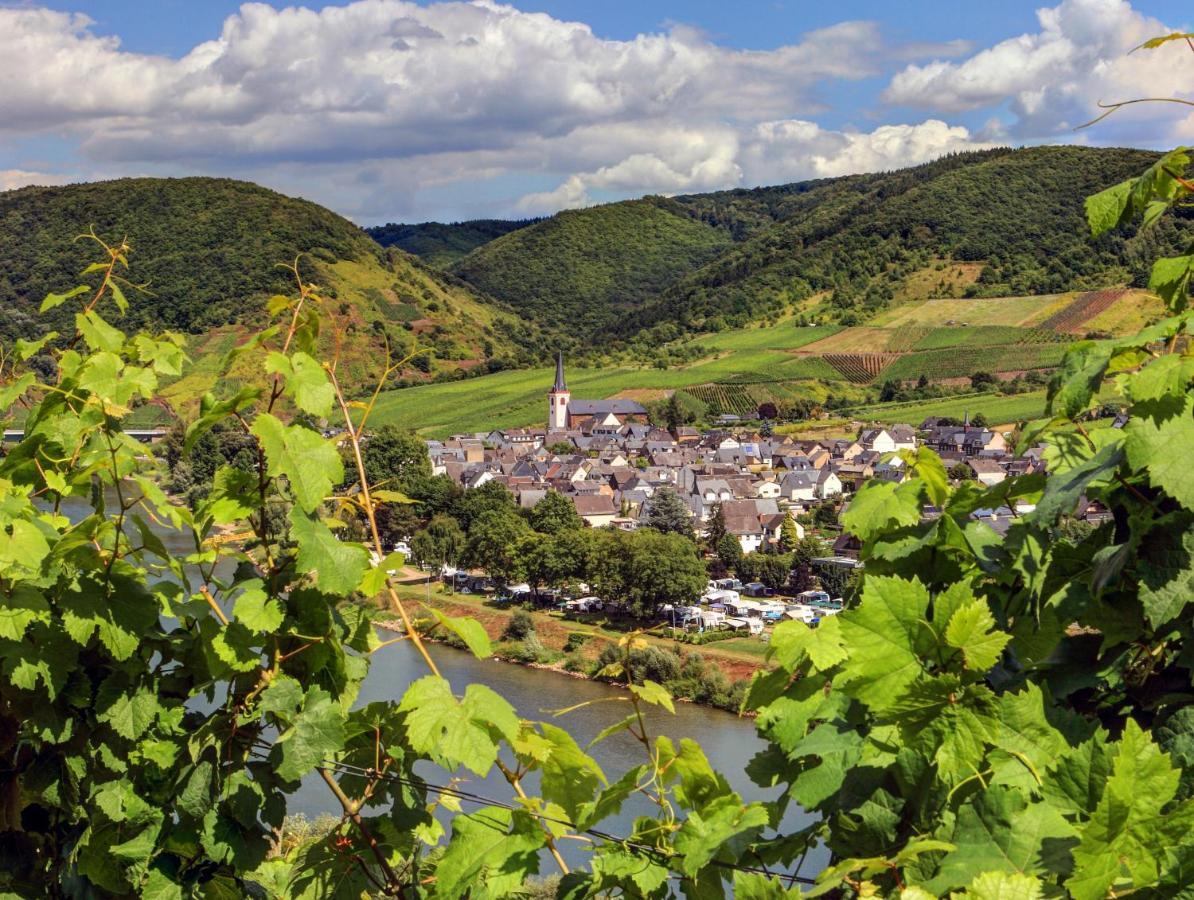Moselhof Ferienwohnungen Bruttig-Fankel Dış mekan fotoğraf